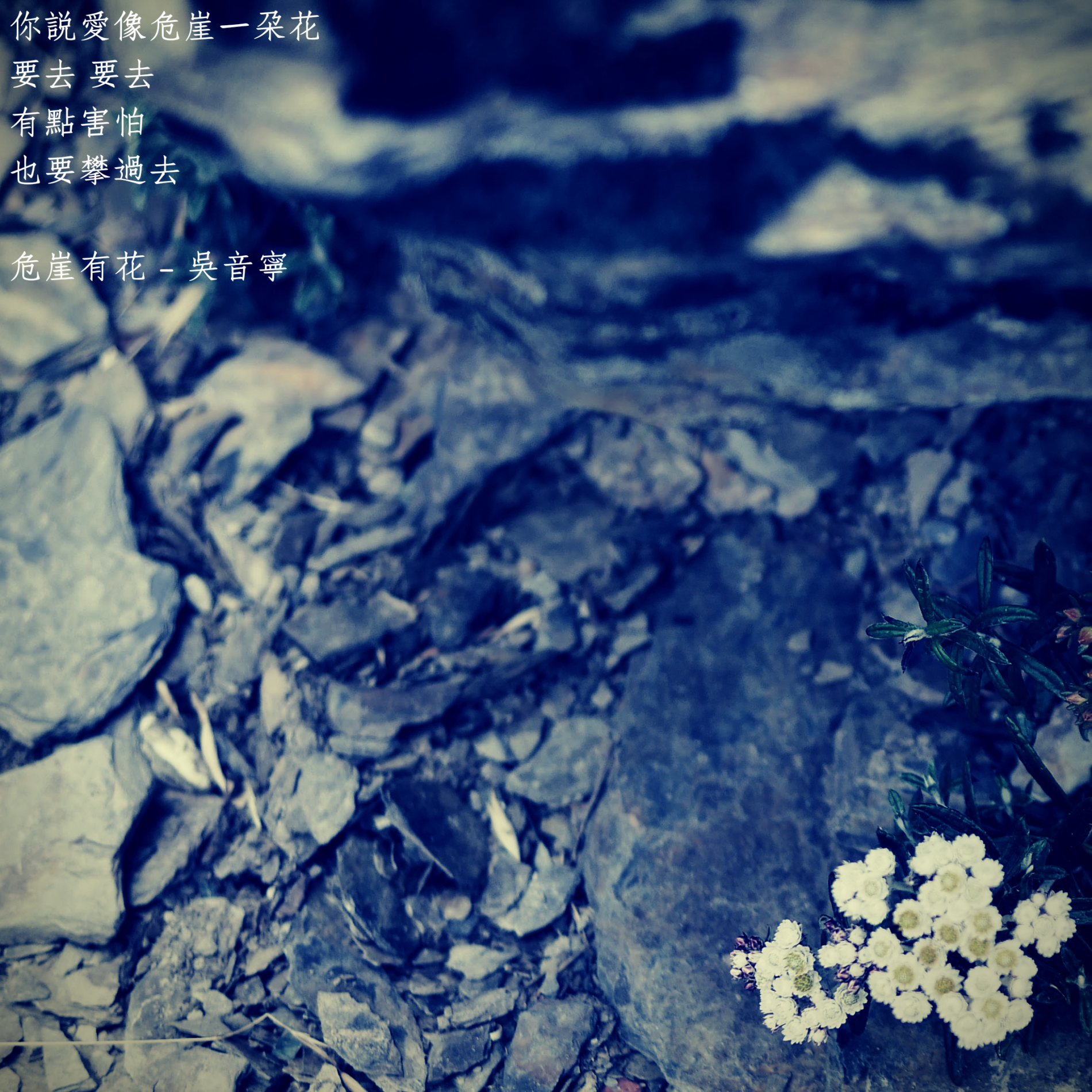 感情療癒催眠個案心得